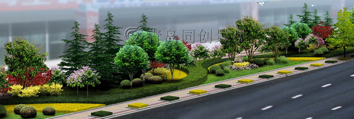道路绿化C 景观设计与建造; 青岛同创景观设计营造有限公司