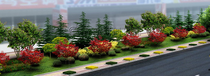 道路绿化B 景观设计与建造; 青岛同创景观设计营造有限公司