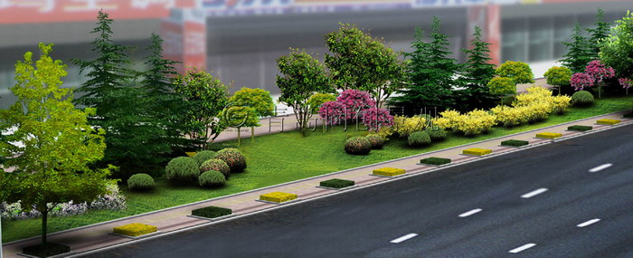 道路绿化A 景观设计与建造; 青岛同创景观设计营造有限公司